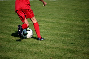 米兰体育官网入口-基层足球赛事体系未形成闭环，足球联赛实施方案  第2张